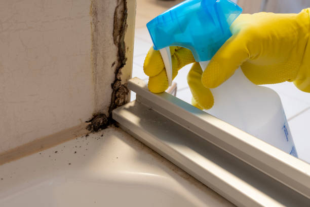 Best Mold Remediation for Vacation Homes  in Grenelefe, FL